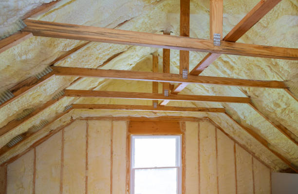 Best Attic Insulation Installation  in Warsaw, NC